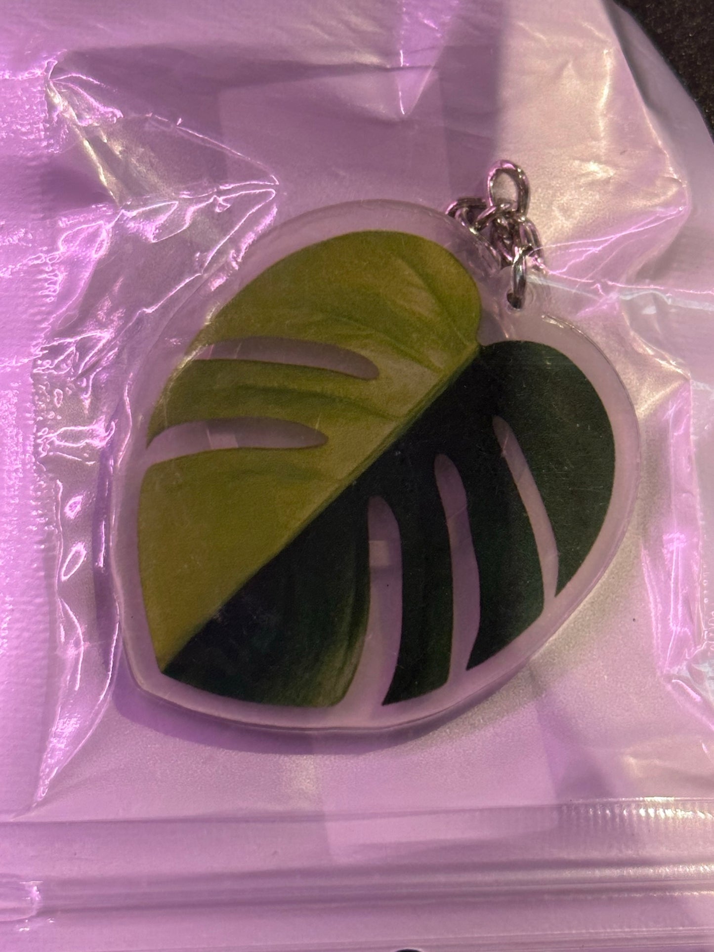 Plant Keychain Monstera halfmoon aurea