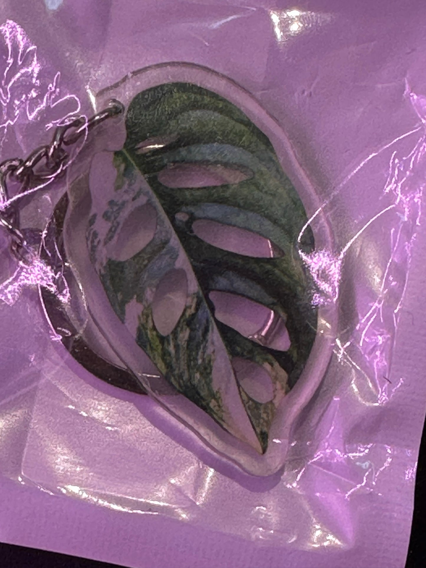 Plant Keychain Monstera Tricolor adansonii