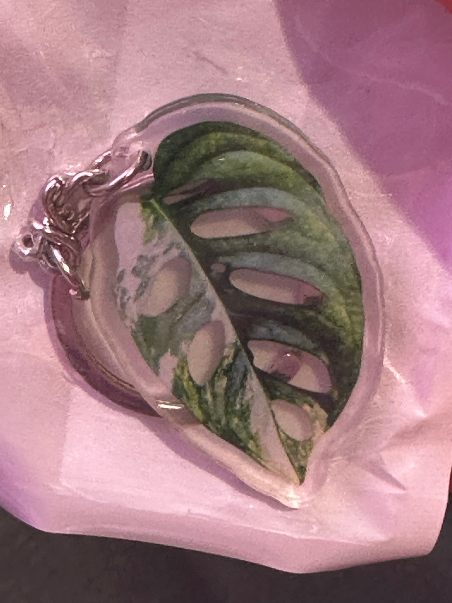 Plant Keychain Monstera Tricolor adansonii