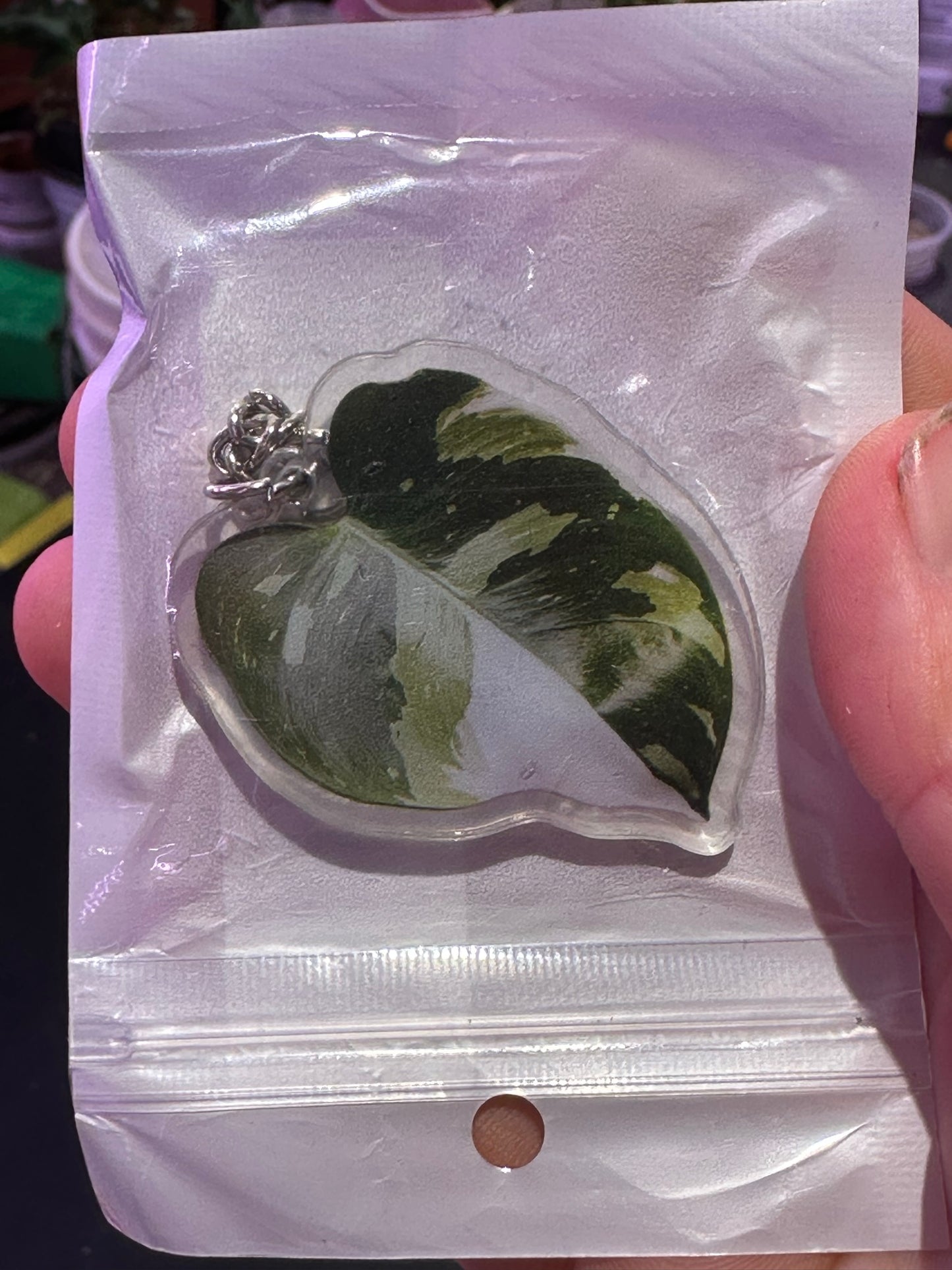 Plant Keychain Philodendron white wizard