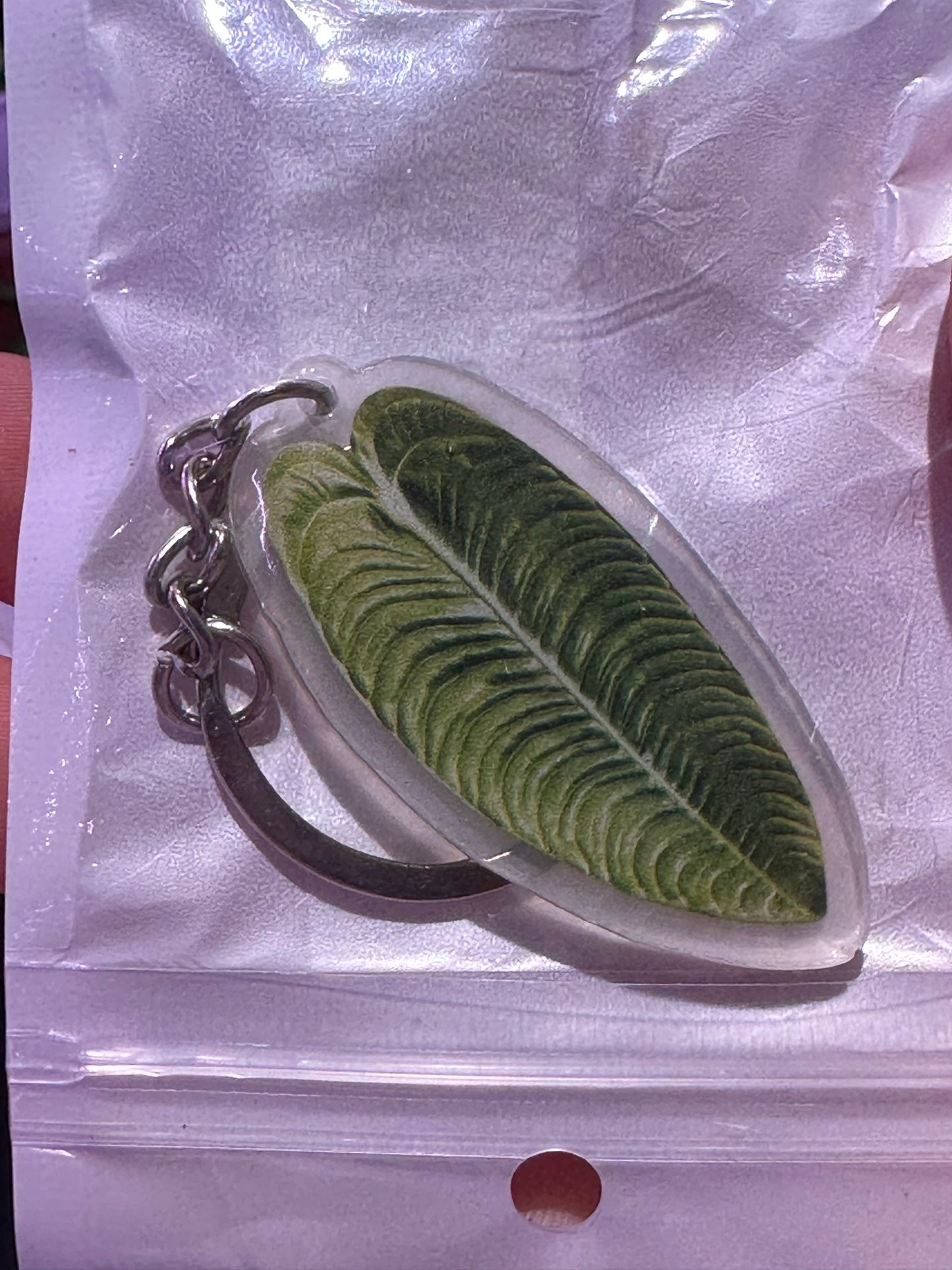 Plant Keychain Anthurium veitchii